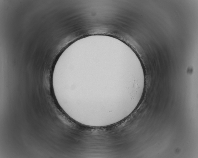 X0000101700345200808071204