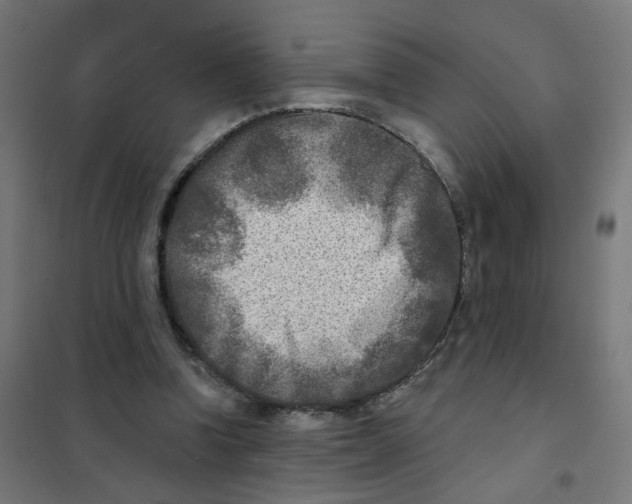 X0000101700346200808071204