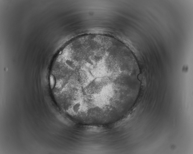 X0000101700347200808071204