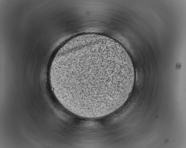 X0000101700348200808071204