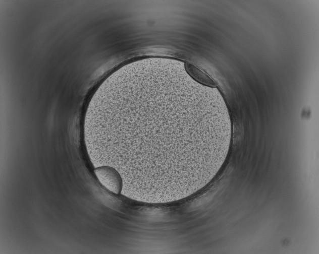 X0000101700349200808071204