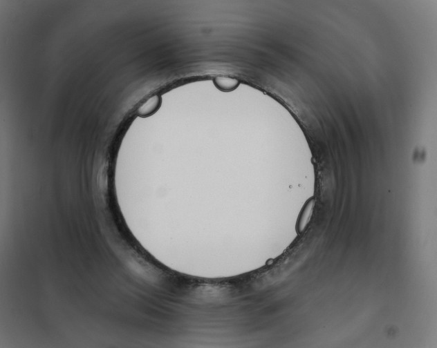 X0000101700350200808071204