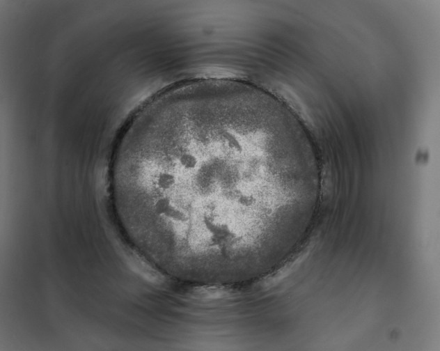X0000101700351200808071204