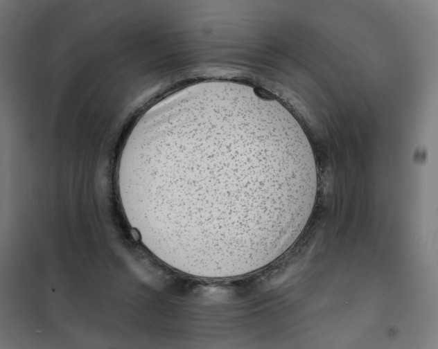 X0000101700352200808071204