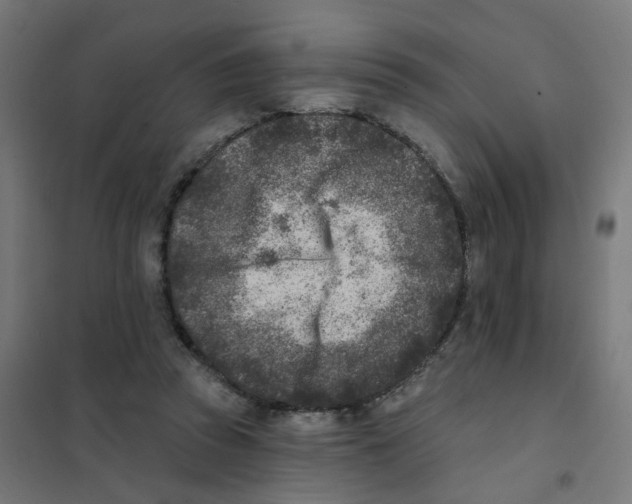 X0000101700353200808071204