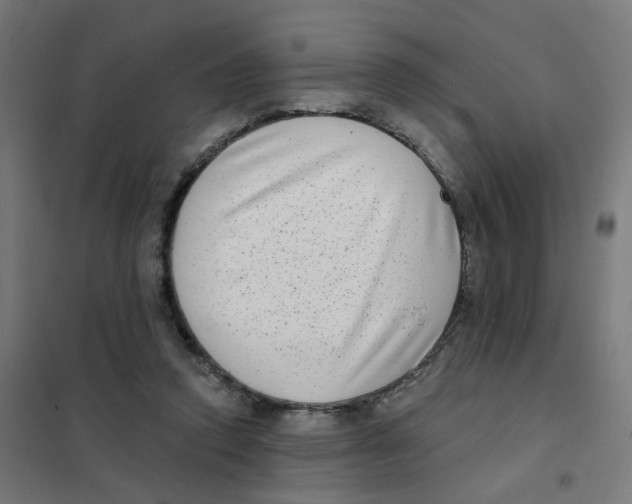 X0000101700354200808071204