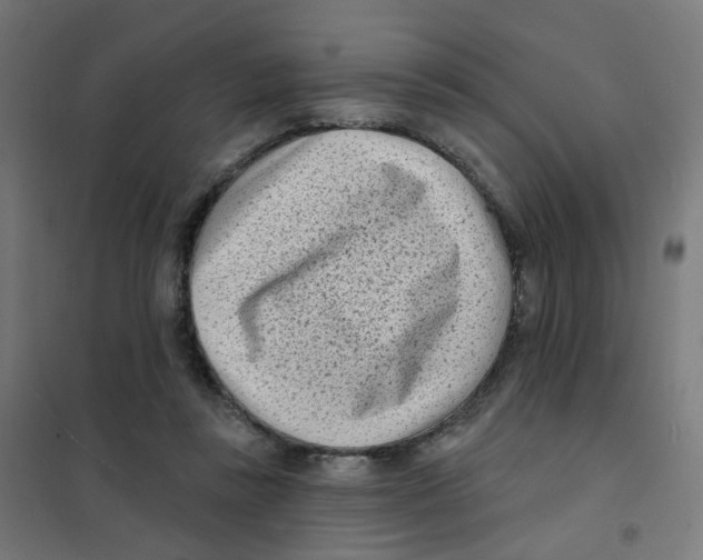 X0000101700355200808071204