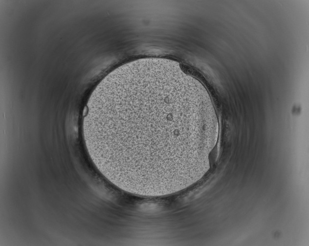 X0000101700358200808071204