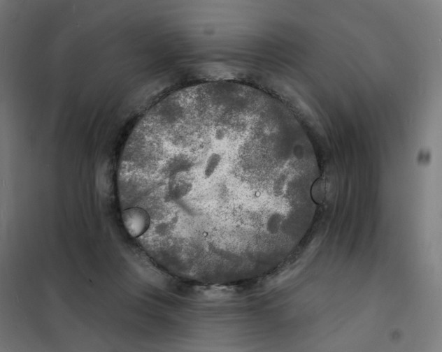 X0000101700359200808071204