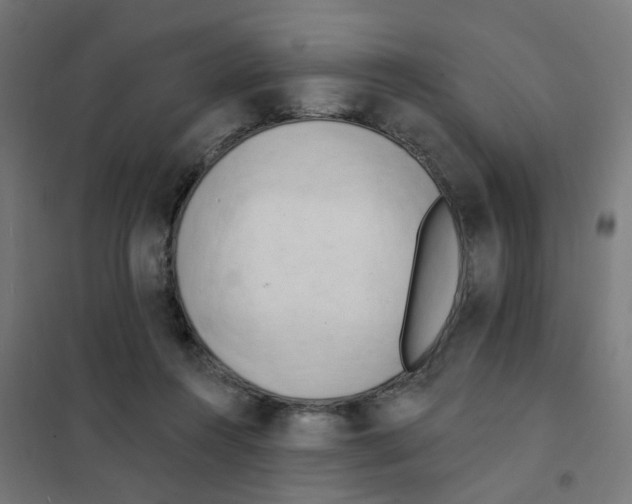 X0000101700360200808071204