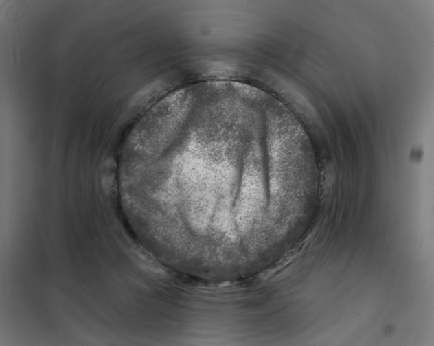 X0000101700361200808071204