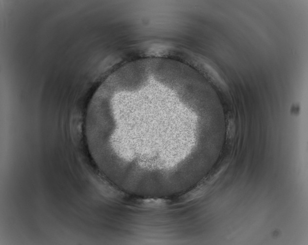 X0000101700363200808071204