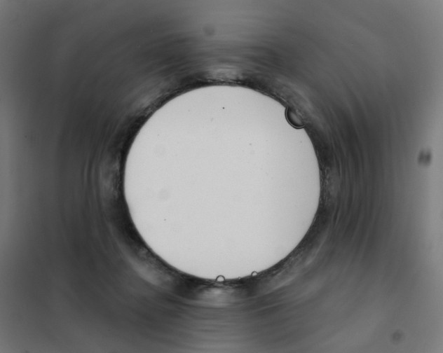 X0000101700364200808071204