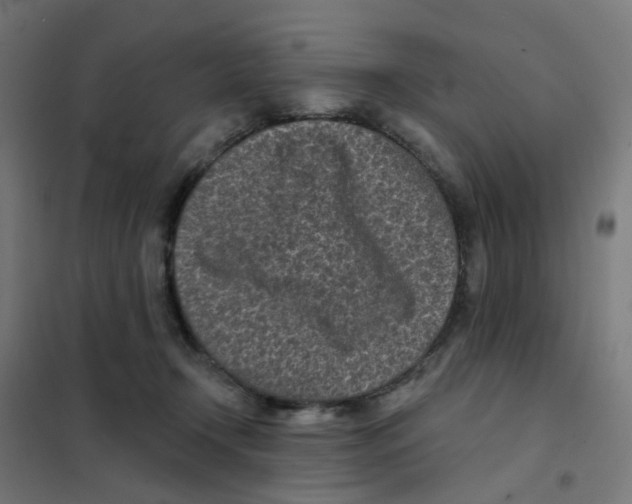 X0000101700366200808071204