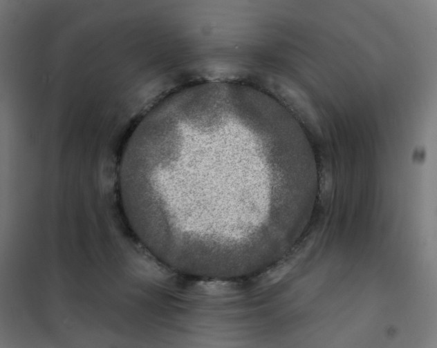 X0000101700367200808071204