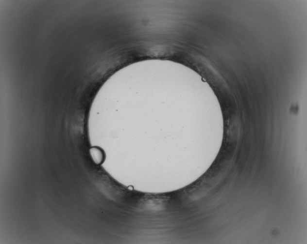 X0000101700368200808071204