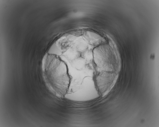 X0000101700369200808071205