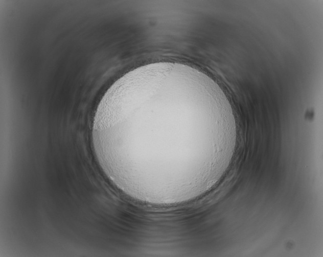 X0000101700370200808071205