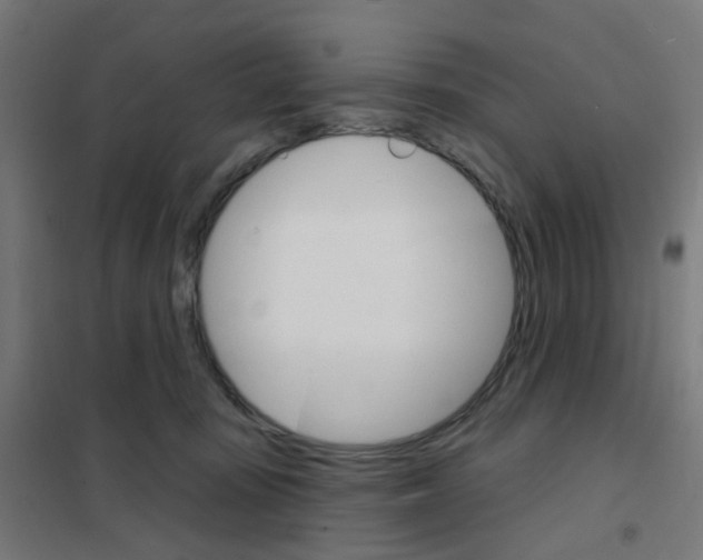 X0000101700371200808071205
