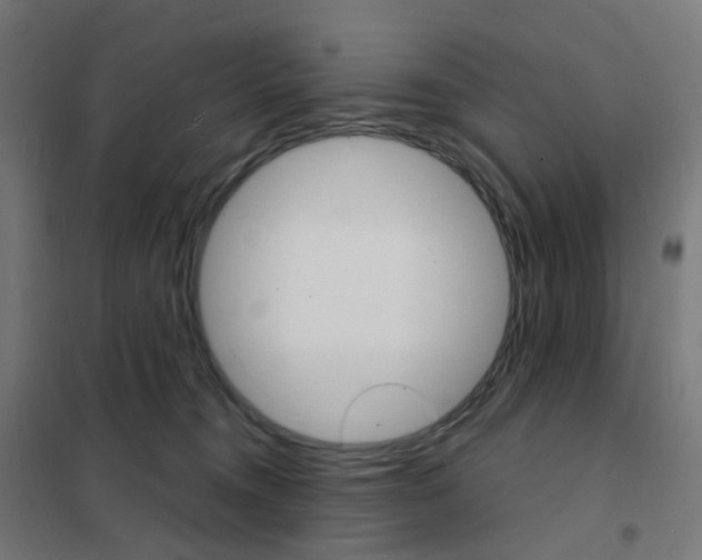 X0000101700372200808071205