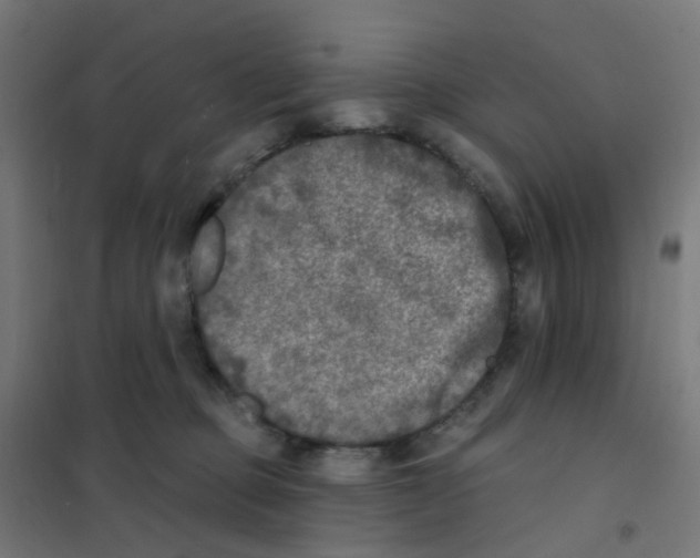 X0000101700373200808071205