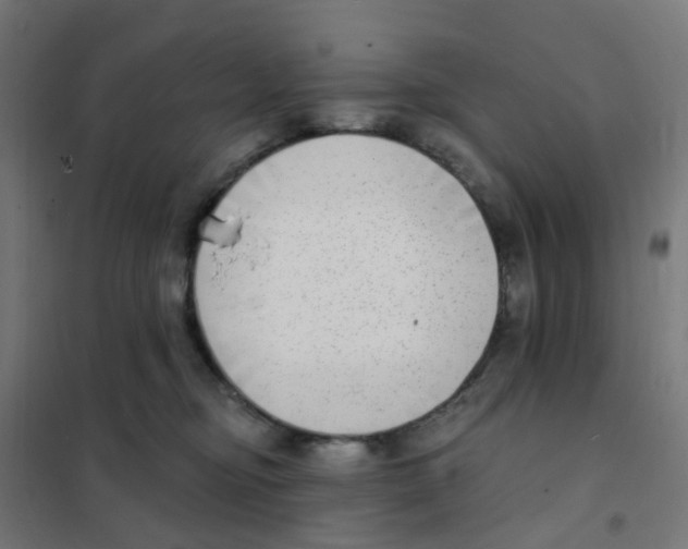 X0000101700374200808071205