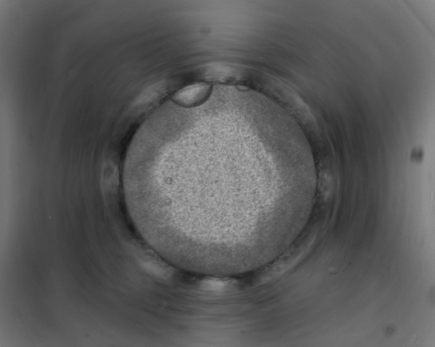 X0000101700375200808071205