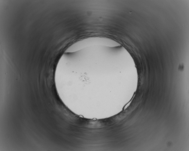 X0000101700376200808071205