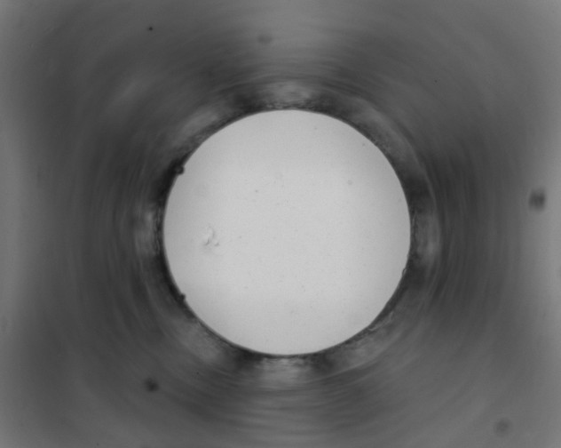 X0000101700378200808071205