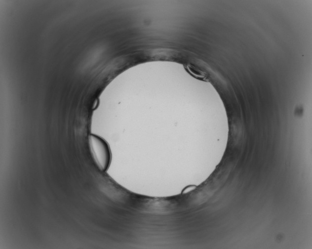 X0000101700379200808071205