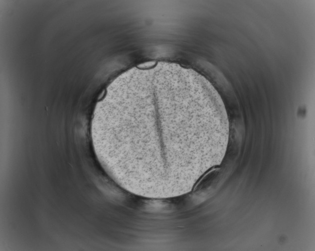 X0000101700380200808071205