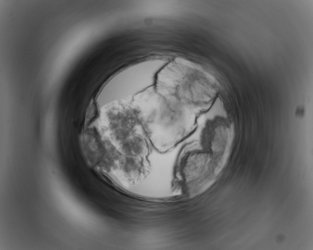 X0000101700381200808071205