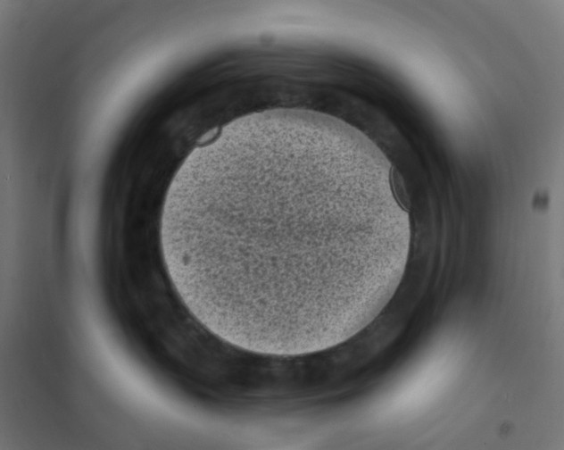 X0000101700383200808071205