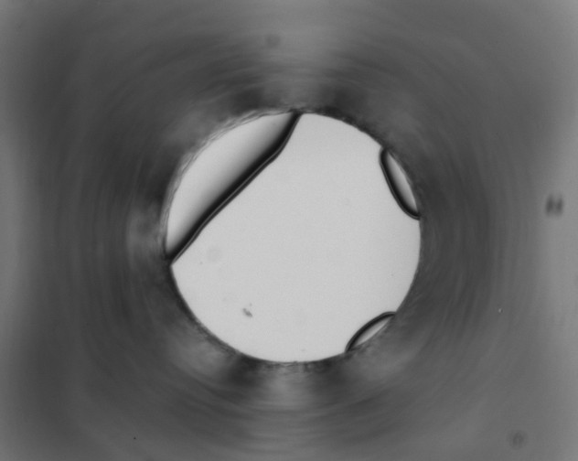 X0000101700384200808071205