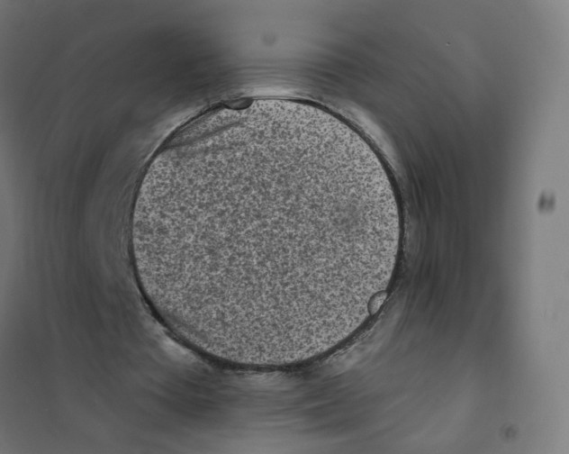 X0000101700385200808071204