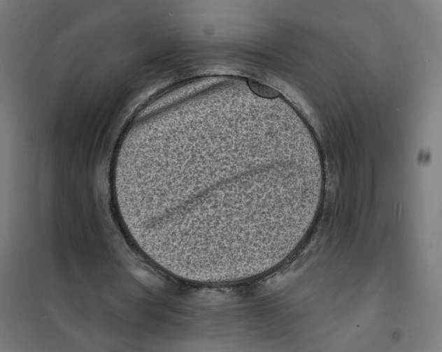 X0000101700386200808071204