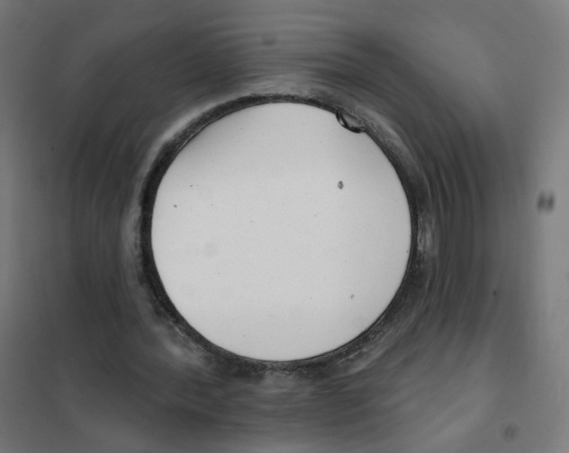 X0000101700388200808071204