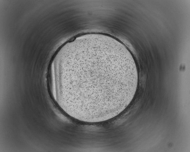 X0000101700389200808071204