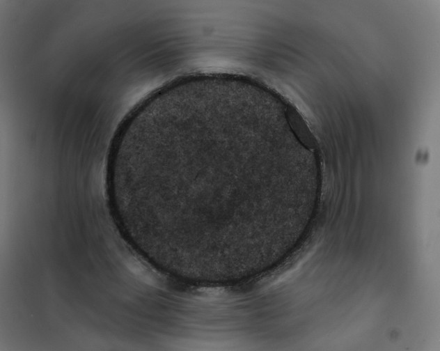 X0000101700391200808071204