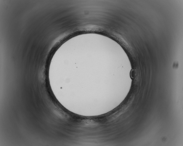 X0000101700392200808071204
