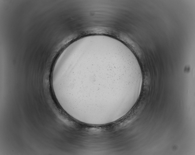 X0000101700394200808071204