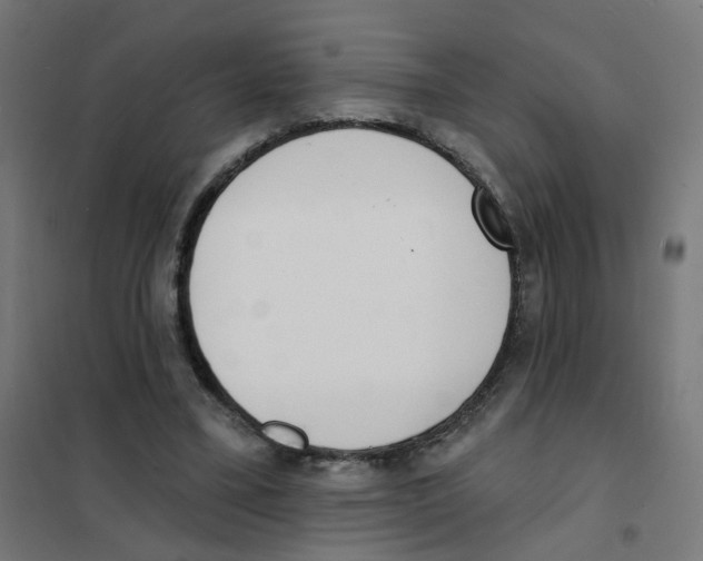X0000101700395200808071204