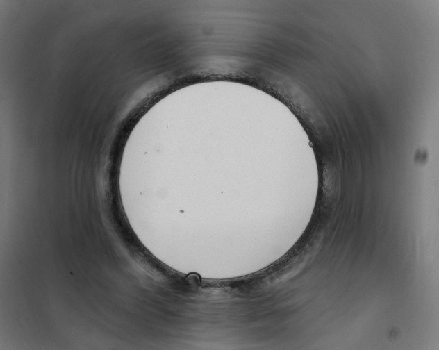 X0000101700396200808071204