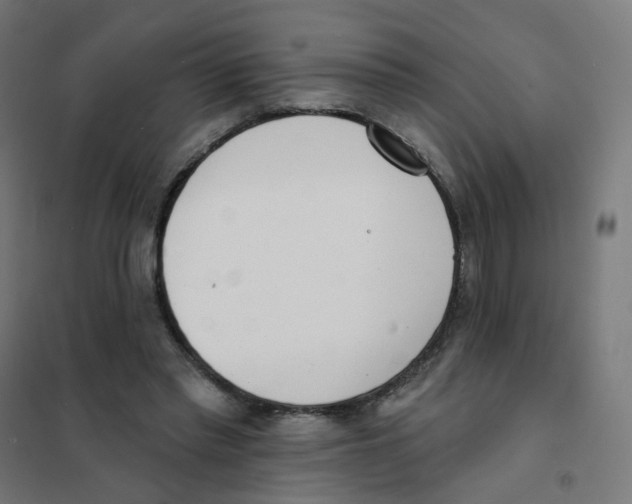 X0000101700397200808071204