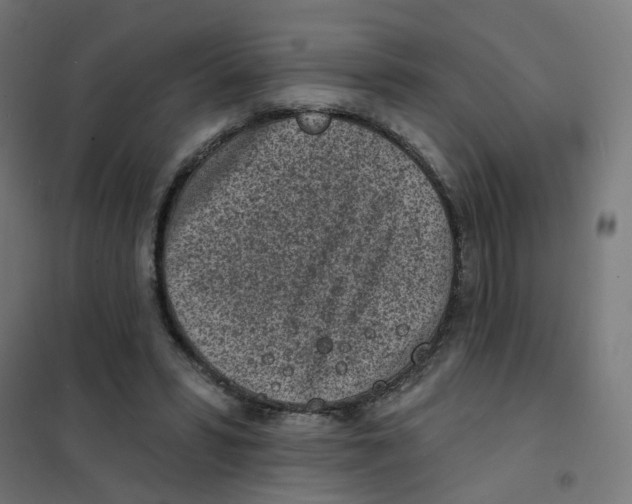X0000101700399200808071204