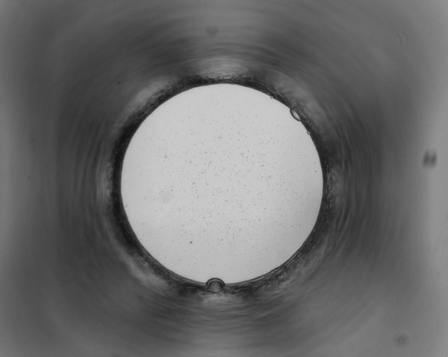 X0000101700400200808071204