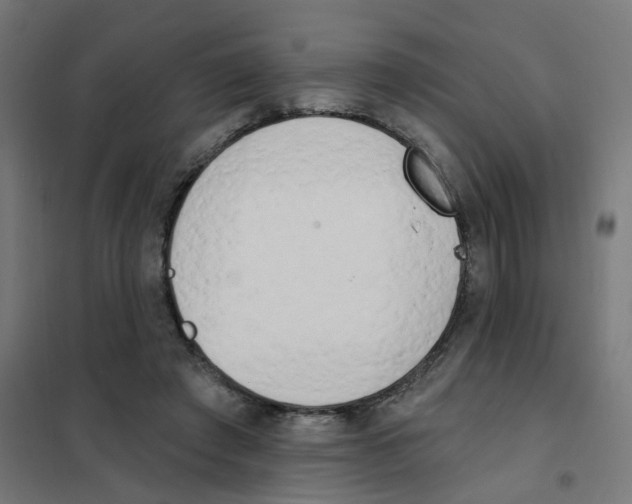 X0000101700401200808071204