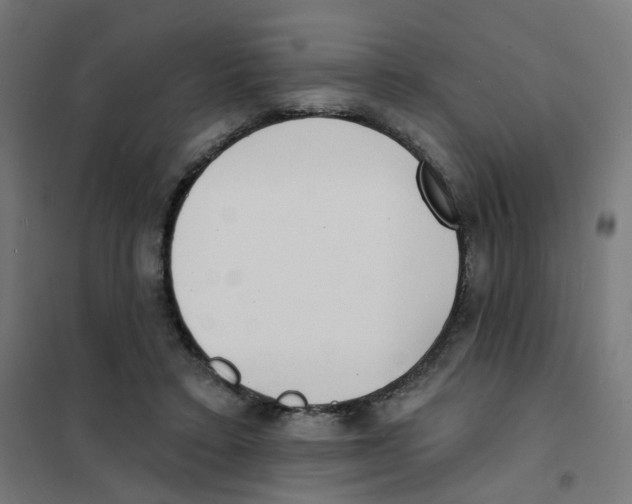 X0000101700403200808071204