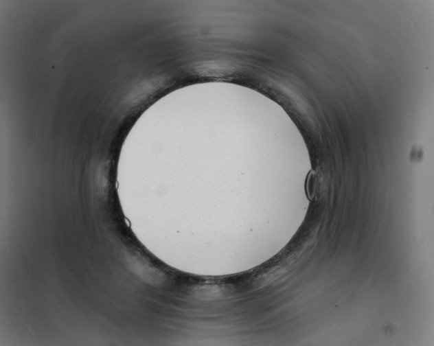 X0000101700404200808071204