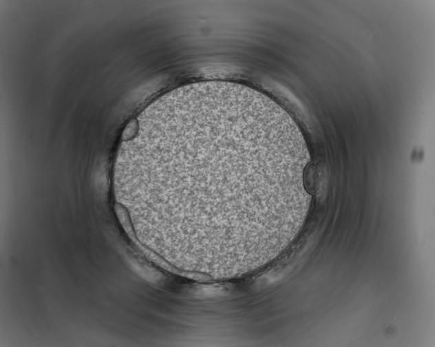 X0000101700405200808071204